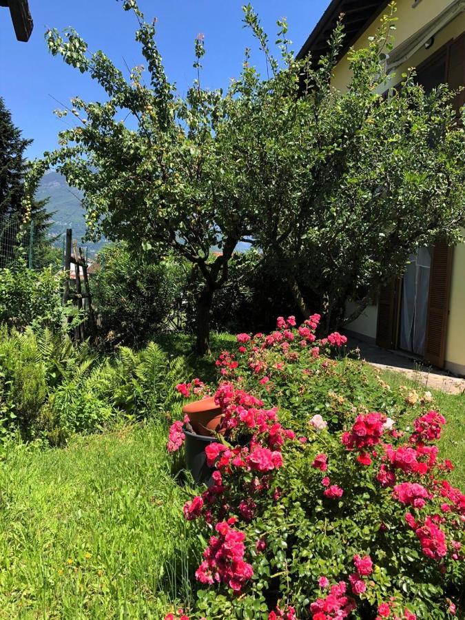 The Children Smile- With Private Garden Apartment Colico Exterior photo